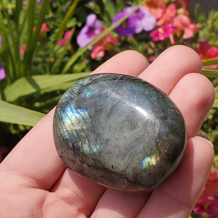 Small Labradorite Palm Stone | Madagascar