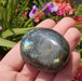 In Stone Fossils 