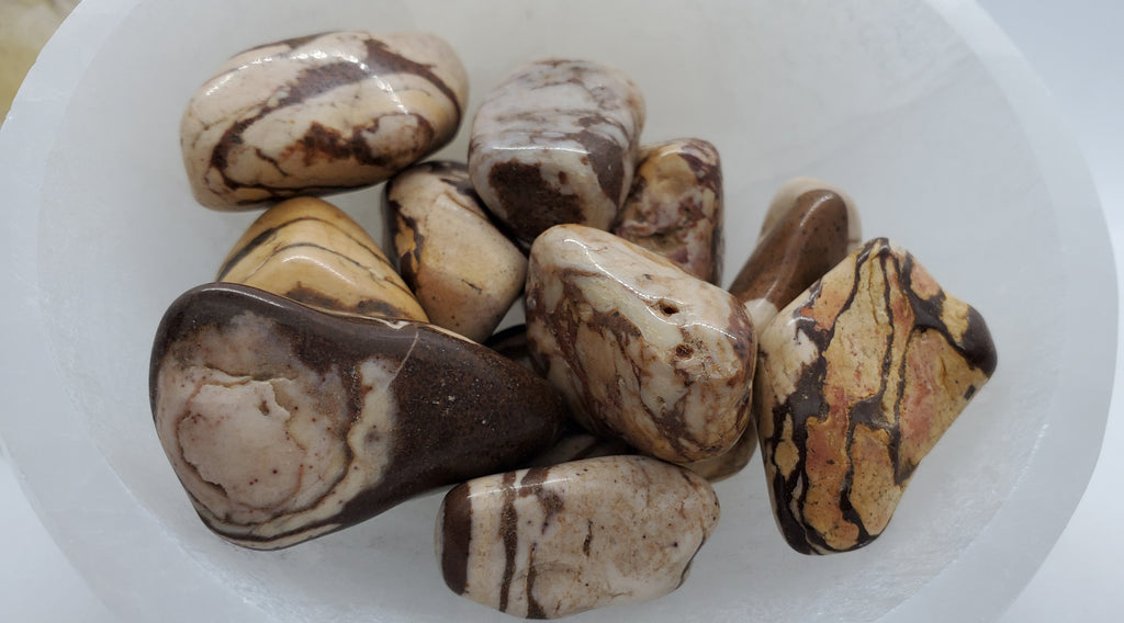 High Quality Tumbled Rocks For Sale | InStoneFossils.com — In Stone Fossils