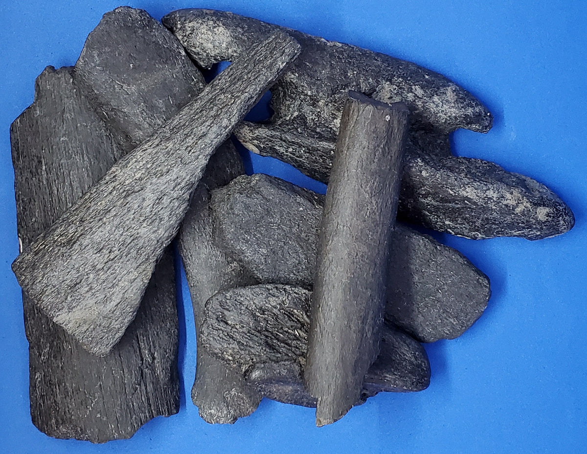 Livyatan Whale Bone — In Stone Fossils