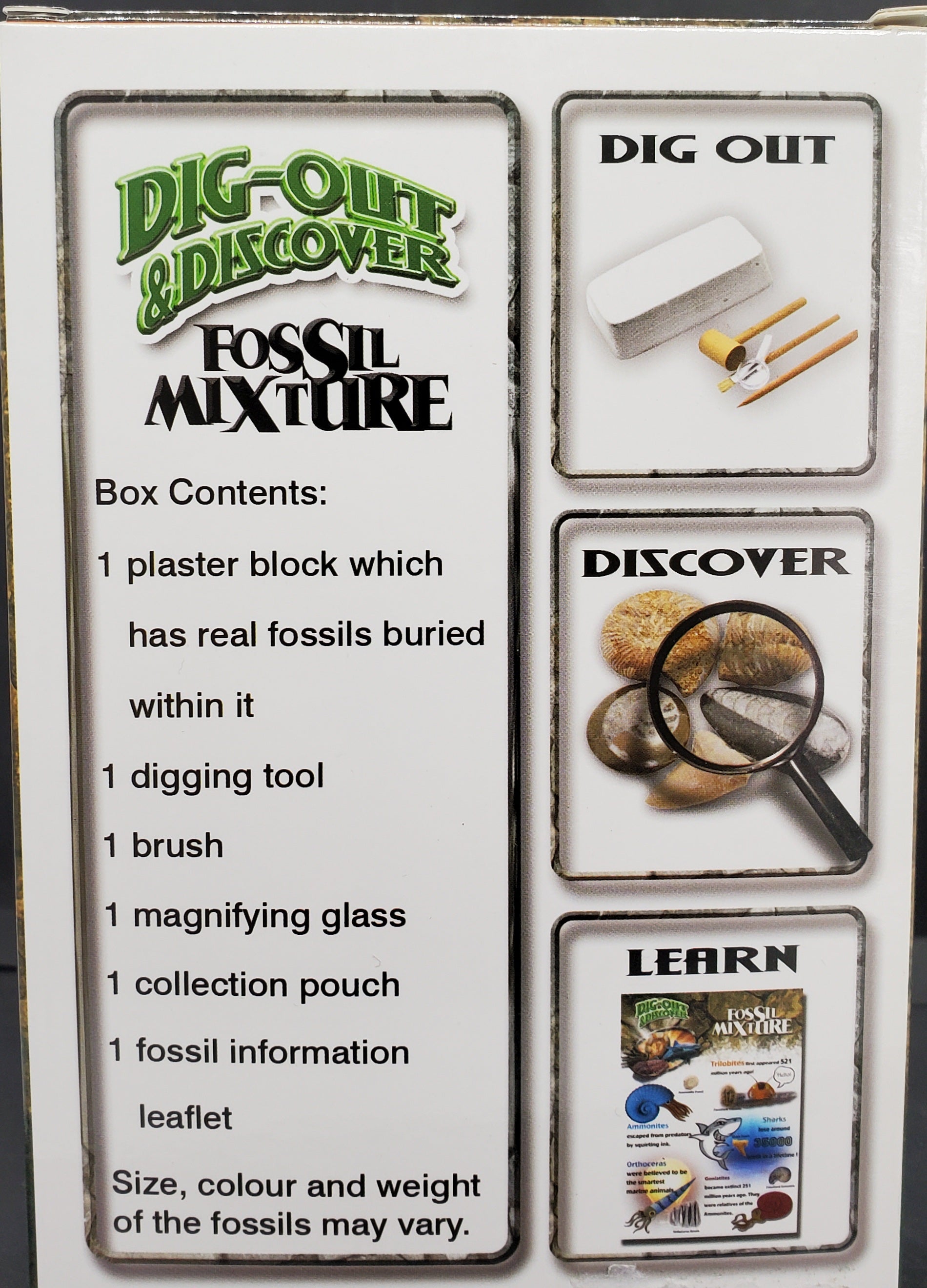 Mystery Box — In Stone Fossils