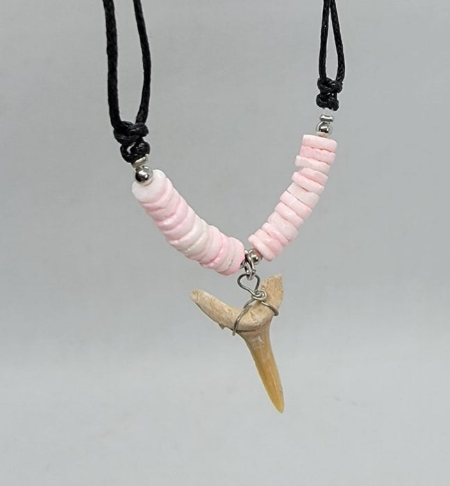 Carcharias africana | Fossil Shark Tooth Necklace