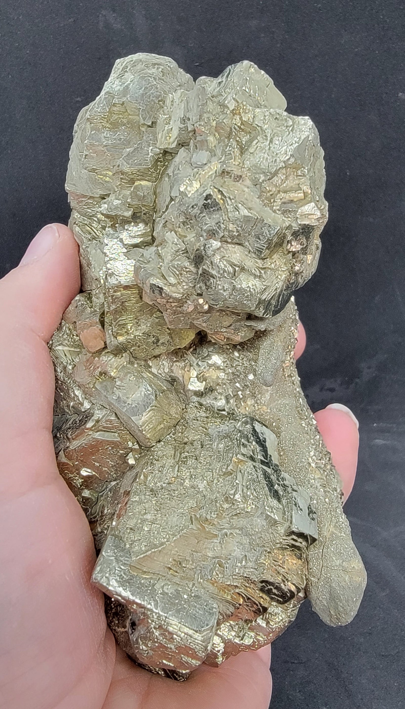 Wyoming Pyrite Kemmerer Coal Mine — In Stone Fossils