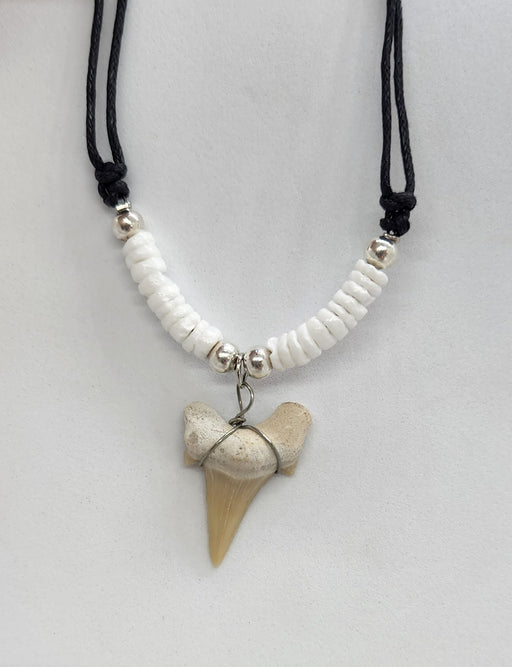 Gold Dipped Shark Tooth Necklace — Real Shark Tooth | Foxy Fossils