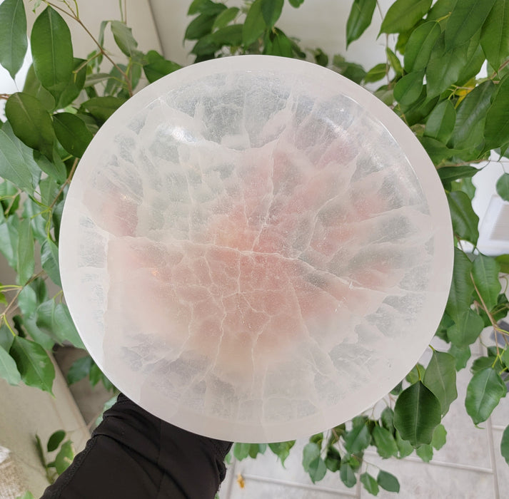 Large Selenite Cleansing Bowl 8"