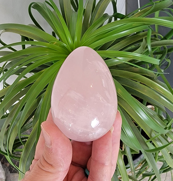 Natural Rose Quartz Crystal Egg Shaped