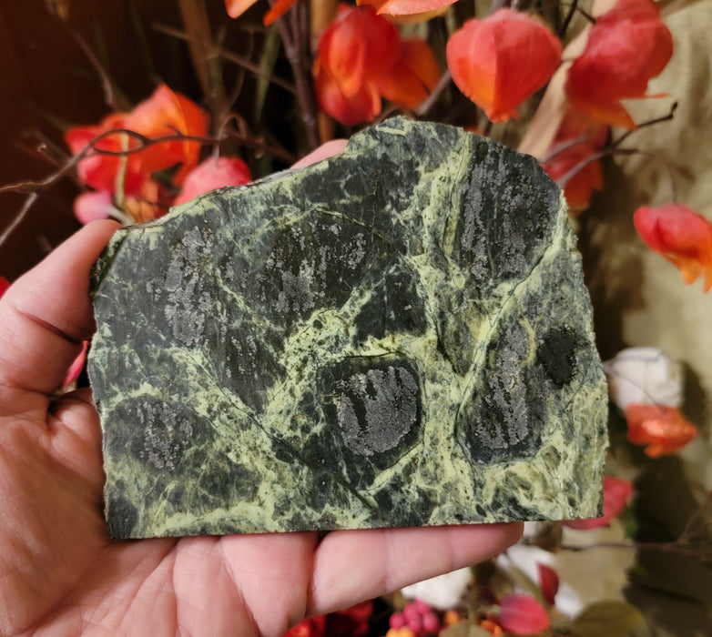 Green Serpentinite Slab | Unpolished