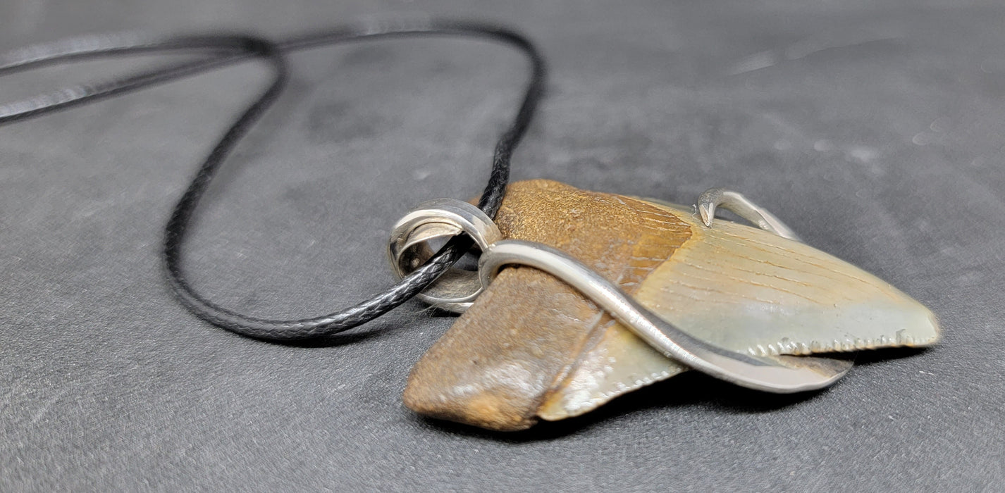 2" Sterling Silver Wrapped Megalodon Tooth Necklace