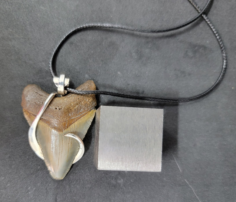 2" Sterling Silver Wrapped Megalodon Tooth Necklace