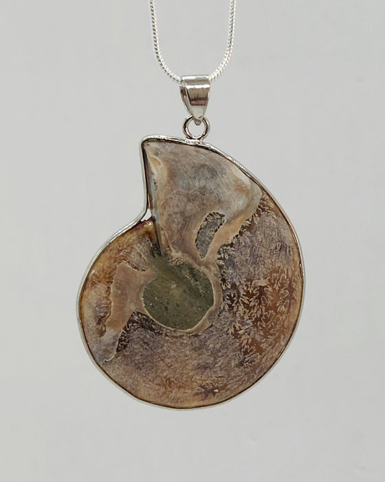 Split Ammonite Necklace