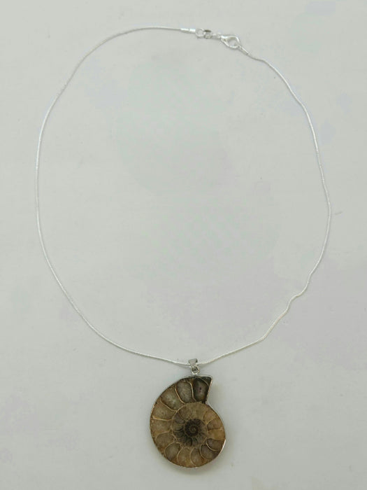 Split Ammonite Necklace