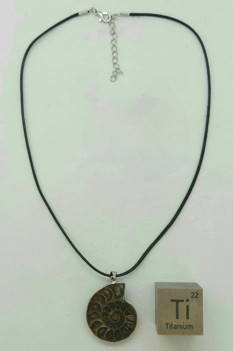 Split Ammonite Necklace
