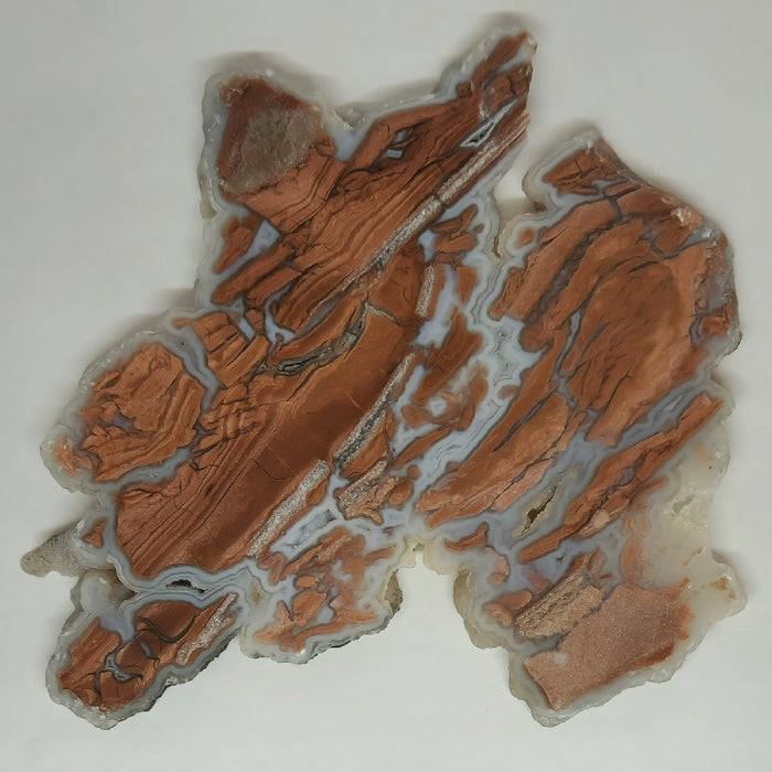 Fluorescent Wyoming Youngite Agate Slice | Guernsey, Wyoming