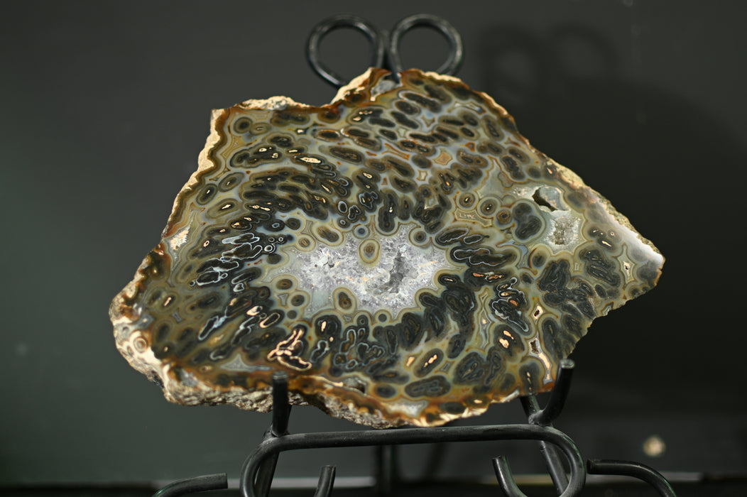 Brazilian Spiral Agate | Brazil